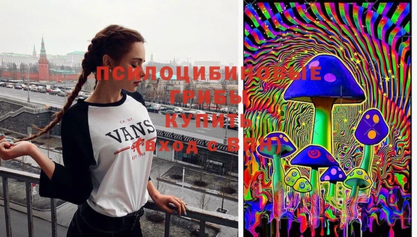 гашиш Вяземский
