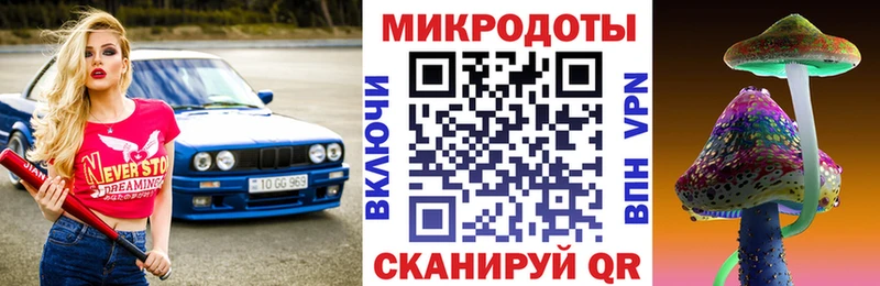 Галлюциногенные грибы Psilocybe  где купить наркоту  Тюмень 